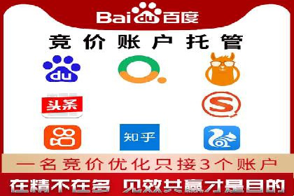 行业领先企业的SEM广告投放策略案例